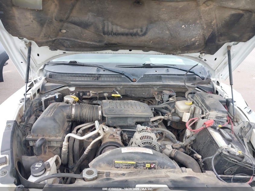 2007 Dodge Dakota Slt VIN: 1D7HW48P17S263564 Lot: 43560224