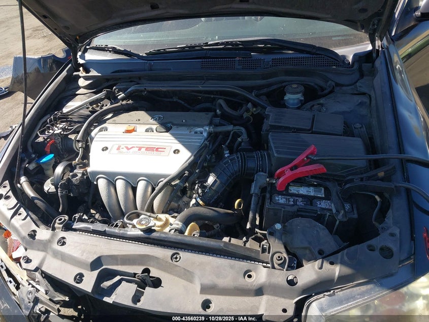 2005 Acura Tsx VIN: JH4CL96805C013776 Lot: 43560239