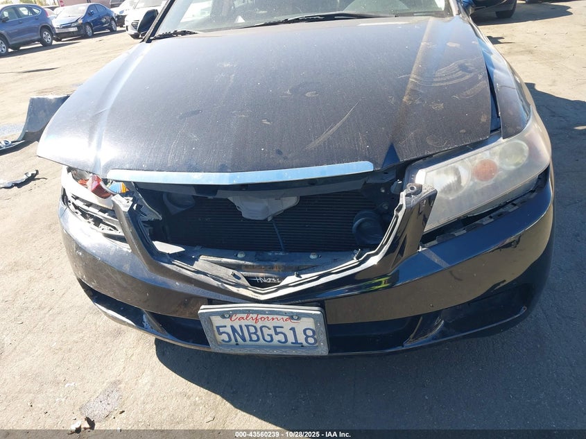 2005 Acura Tsx VIN: JH4CL96805C013776 Lot: 43560239