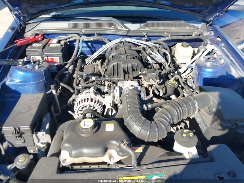 2008 Ford Mustang V6 Deluxe/V6 Premium VIN: 1ZVHT80N585141162 Lot: 43560541