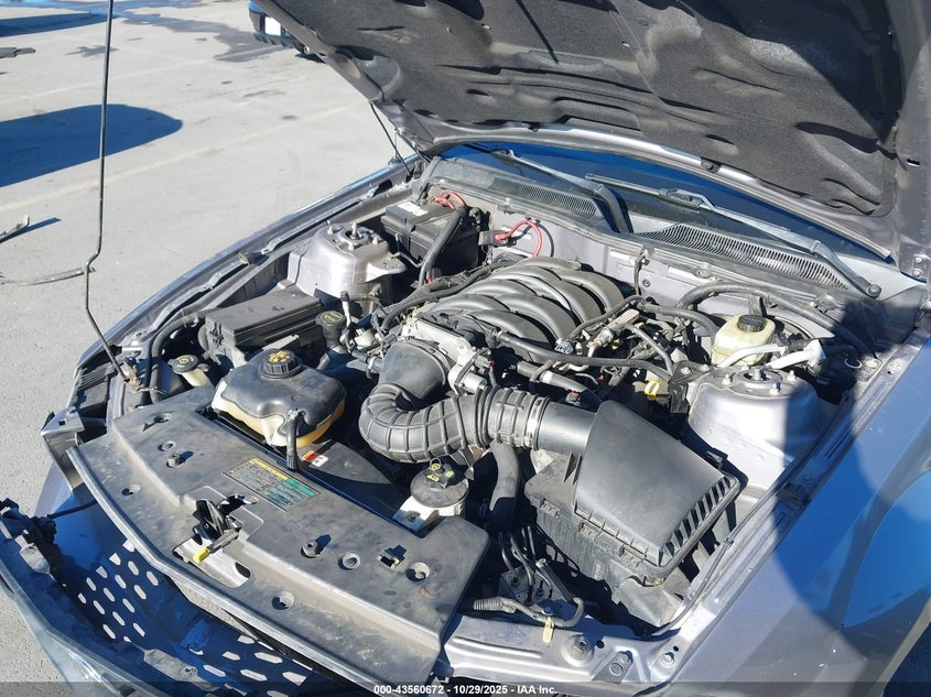 2006 Ford Mustang Gt VIN: 1ZVHT82H365115017 Lot: 43560672