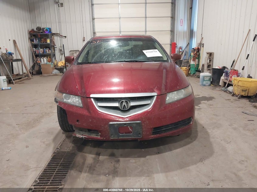 2006 Acura Tl VIN: 19UUA66246A036384 Lot: 43560768