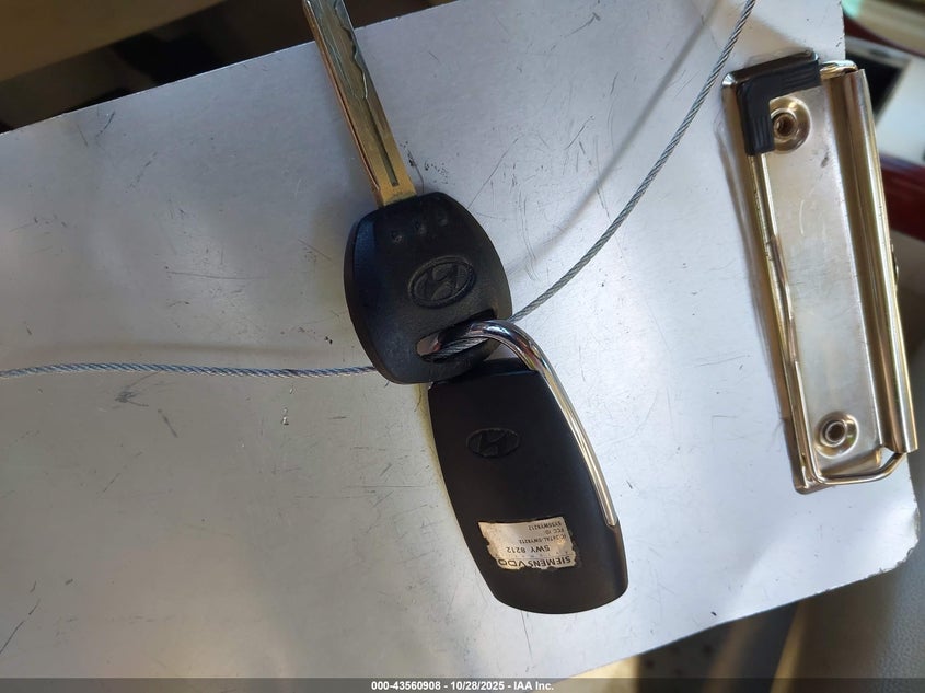 2006 Hyundai Azera Limited/Se VIN: KMHFC46F66A124356 Lot: 43560908