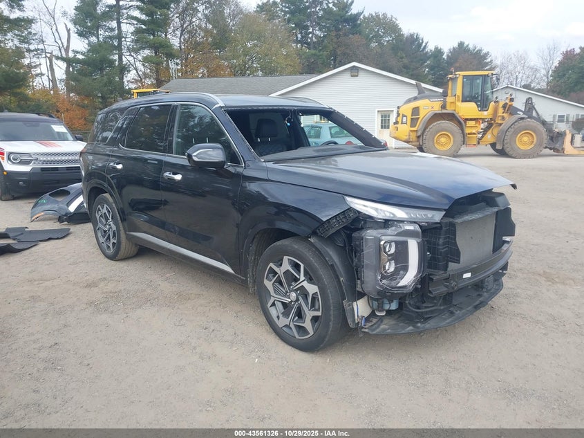 HYUNDAI PALISADE CALLIGRAPHY