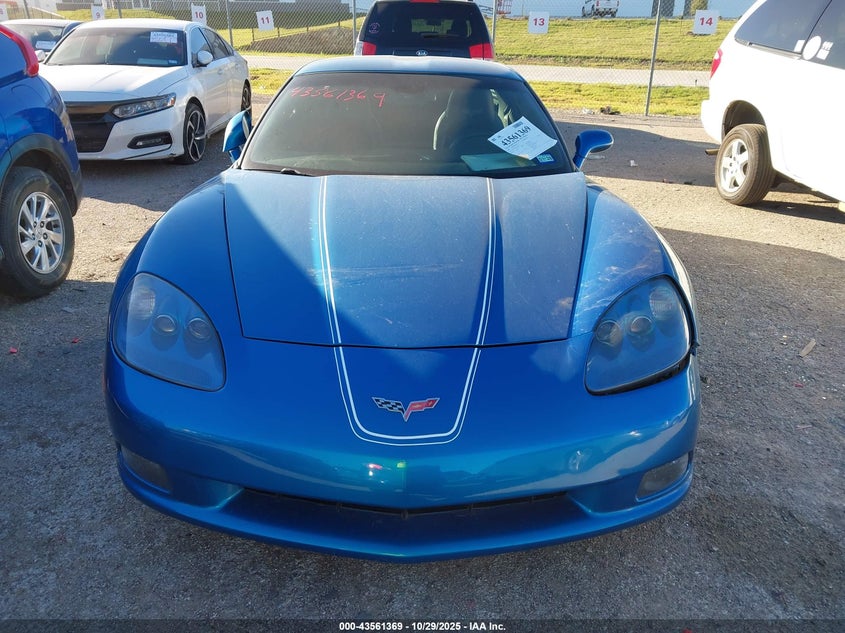 2009 Chevrolet Corvette VIN: 1G1YY26W895101458 Lot: 43561369