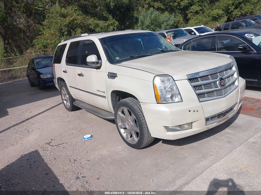 CADILLAC ESCALADE LUXURY