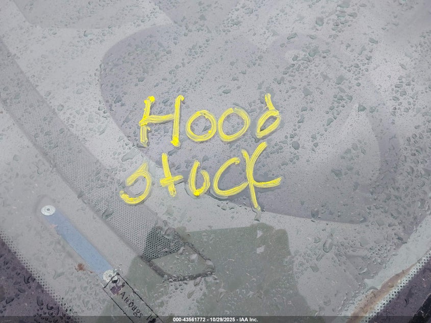 2009 Volvo S60 2.5T/2.5T Special Edition VIN: YV1RS592892726932 Lot: 43561772