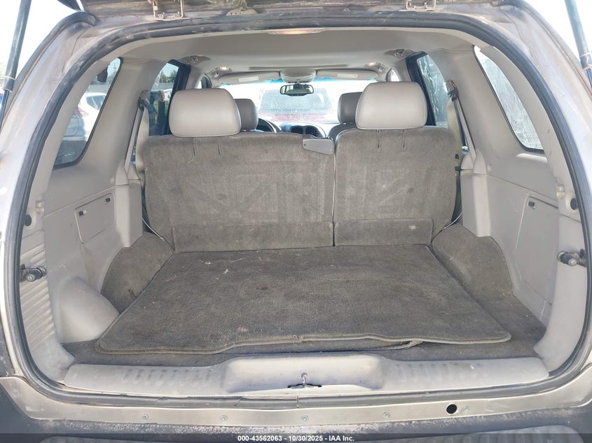 2002 Oldsmobile Bravada VIN: 1GHDT13S822238398 Lot: 43562063