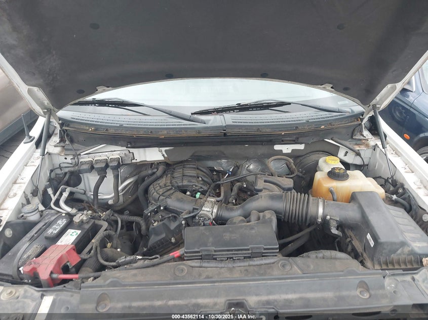 2014 Ford F-150 Xl VIN: 1FTMF1CM1EKD01067 Lot: 43562114