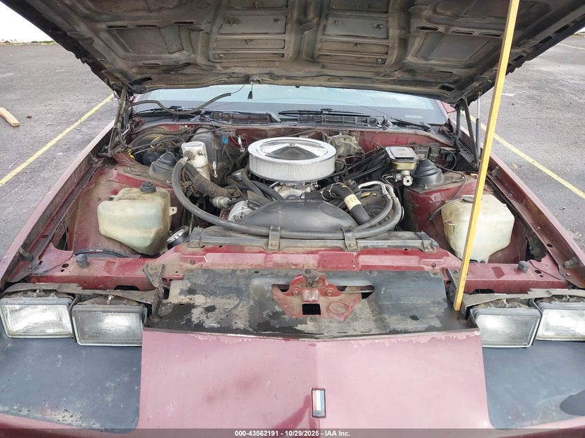 1985 Chevrolet Camaro VIN: 1G1FP87H7FL432696 Lot: 43562191