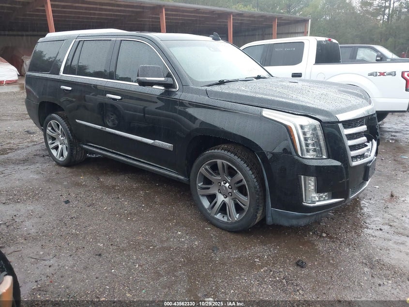 CADILLAC ESCALADE PREMIUM COLLECTION