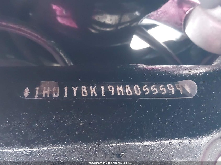 2021 Harley-Davidson Flhcs VIN: 1HD1YBK19MB055599 Lot: 43562393