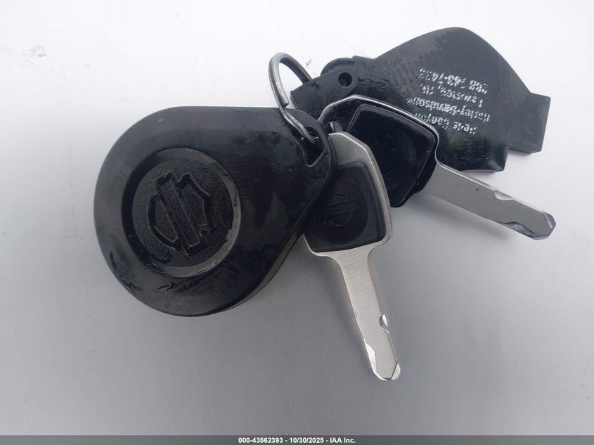 2021 Harley-Davidson Flhcs VIN: 1HD1YBK19MB055599 Lot: 43562393