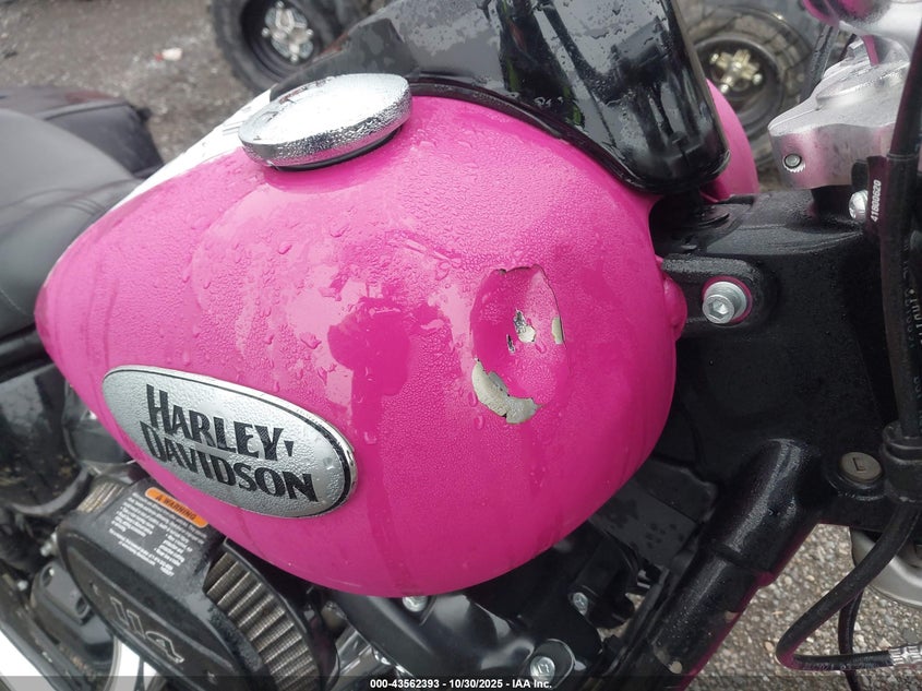 2021 Harley-Davidson Flhcs VIN: 1HD1YBK19MB055599 Lot: 43562393