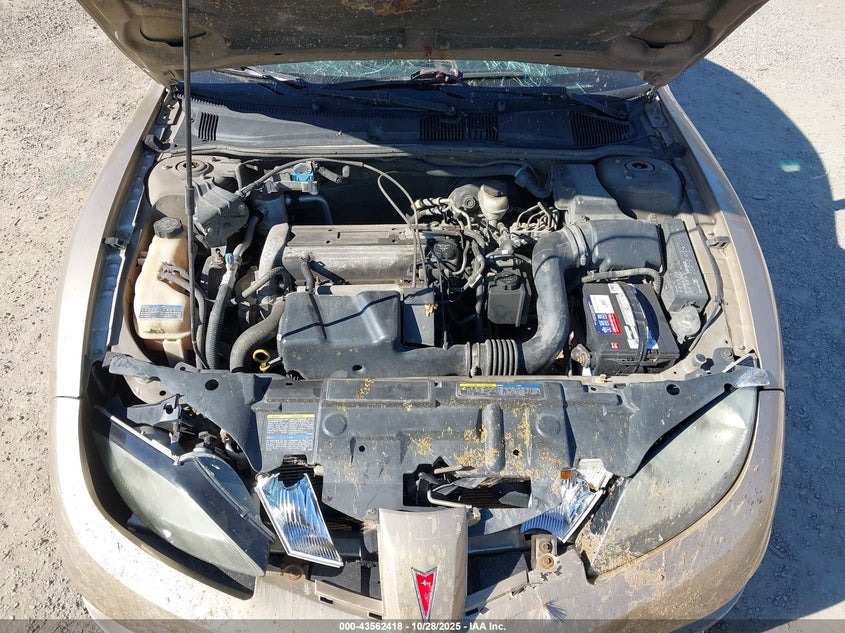 2005 Pontiac Sunfire VIN: 3G2JB12F65S192731 Lot: 43562418