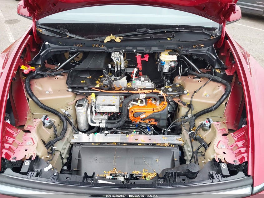 2026 Tesla Model Y Long Range Dual Motor All-Wheel Drive/Long Range Launch Series VIN: 7SAYGDEE9TA446843 Lot: 43562457