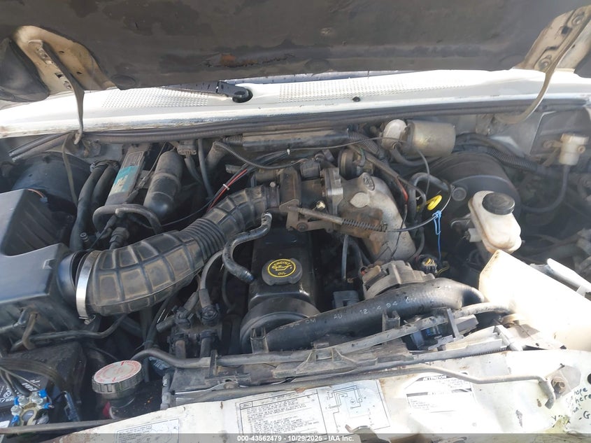 1989 Ford Ranger VIN: 1FTCR10A3KUB81835 Lot: 43562479