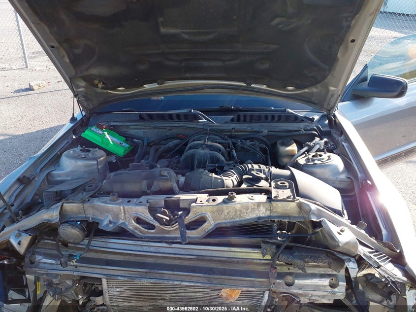 2008 Ford Mustang V6 Deluxe/V6 Premium VIN: 1ZVHT80NX85121988 Lot: 43562602