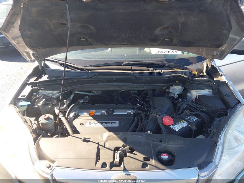 2007 Honda Cr-V Ex VIN: JHLRE48517C012010 Lot: 43562807