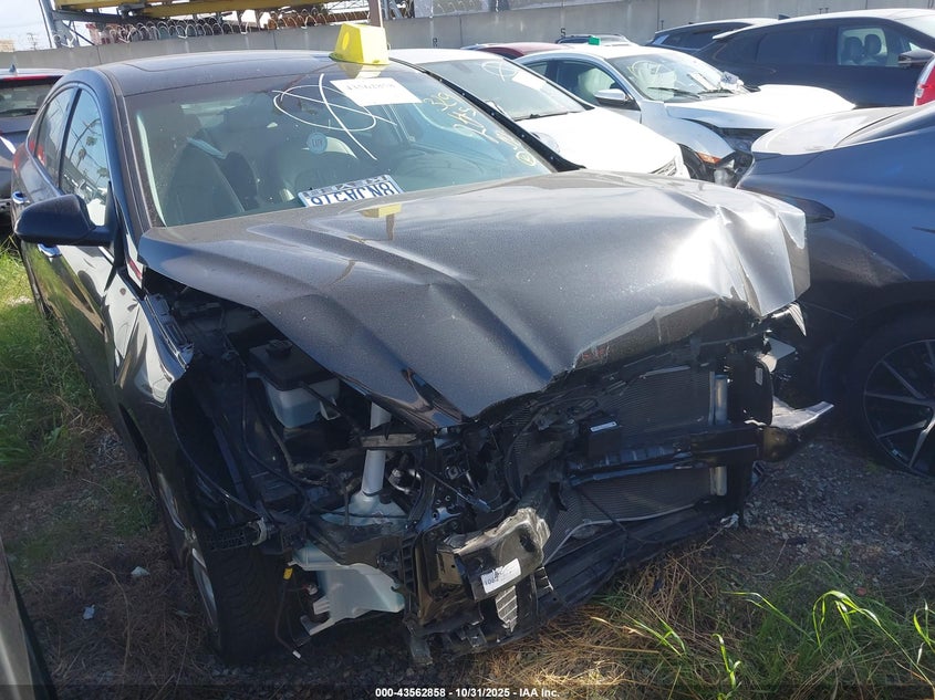 2019 HYUNDAI SONATA LIMITED - 5NPE34AF6KH820919