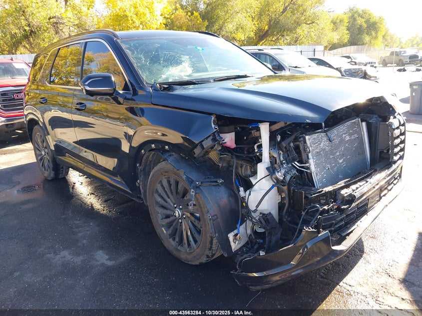 HYUNDAI PALISADE CALLIGRAPHY NIGHT EDITION