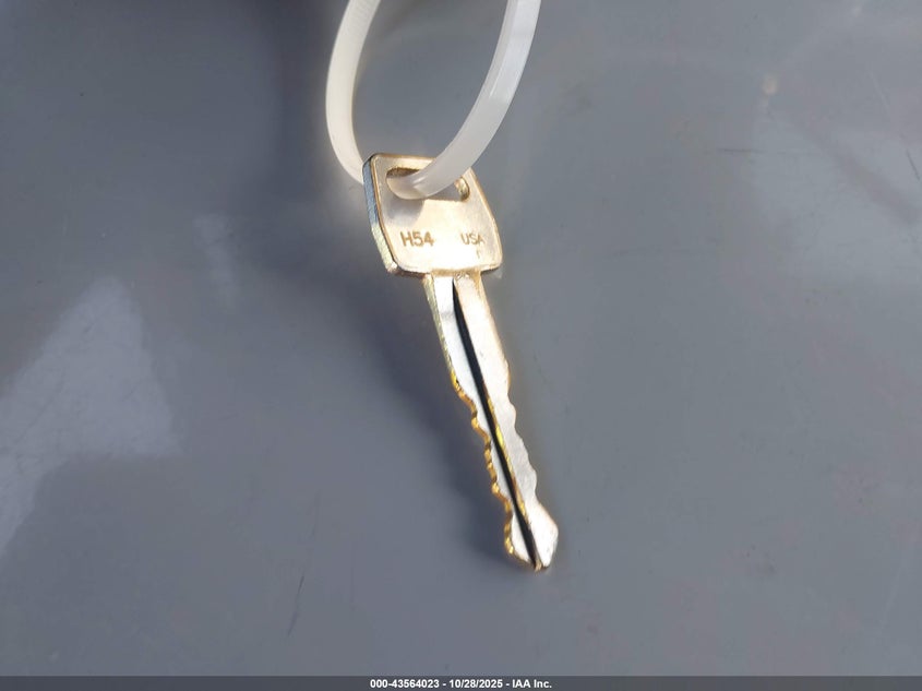 1993 Ford Ranger Super Cab VIN: 1FTCR14X2PPB03146 Lot: 43564023