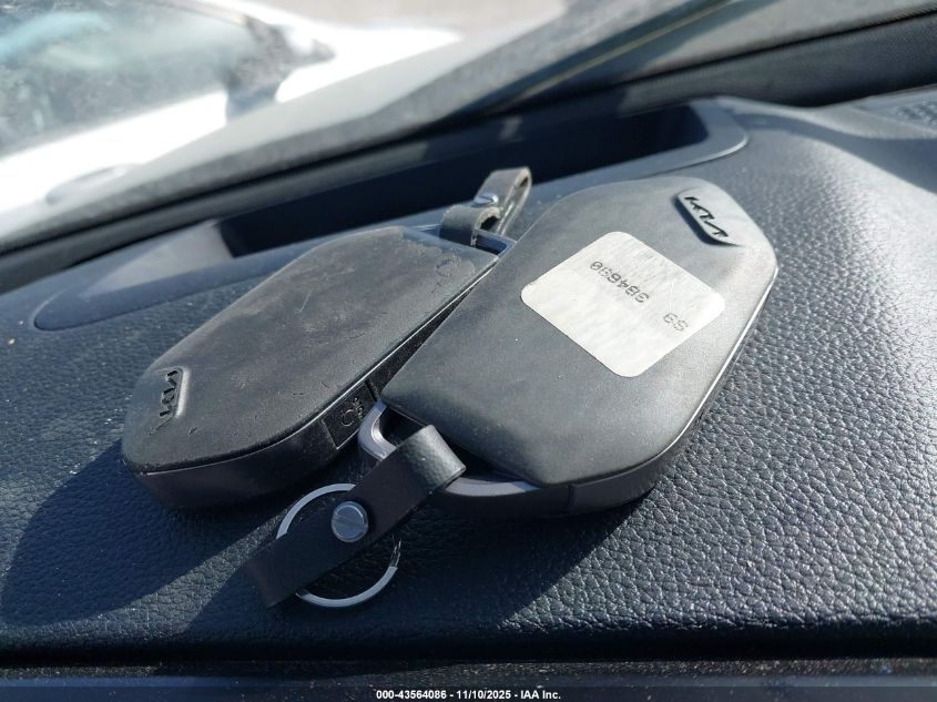 2023 Kia Telluride Sx Prestige X-Line VIN: 5XYP5DGC1PG384690 Lot: 43564086