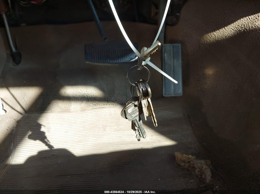 1990 Ford F150 VIN: 1FTDF15N8LPA03993 Lot: 43564524