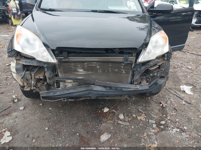 2009 Honda Cr-V Ex-L VIN: JHLRE38759C013241 Lot: 43564694