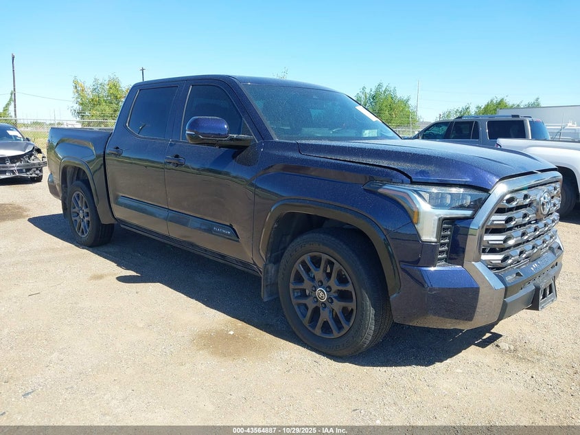 TOYOTA TUNDRA PLATINUM 2WD