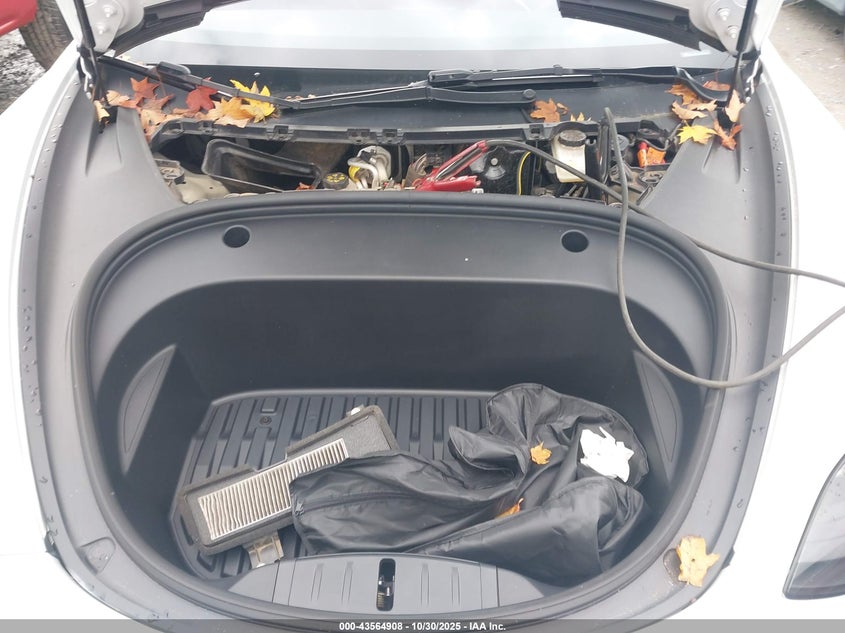 2023 Tesla Model 3 Rear-Wheel Drive VIN: 5YJ3E1EA2PF598433 Lot: 43564908