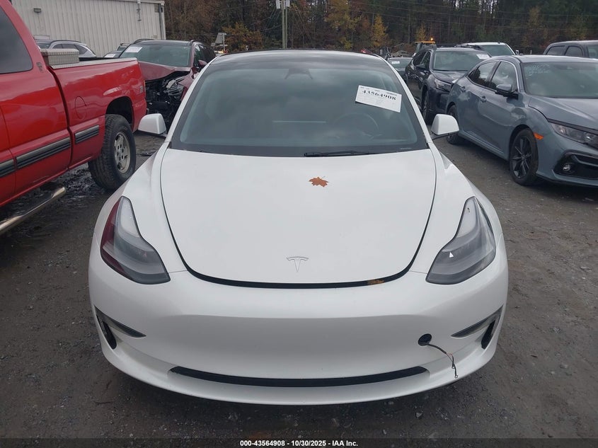 2023 Tesla Model 3 Rear-Wheel Drive VIN: 5YJ3E1EA2PF598433 Lot: 43564908