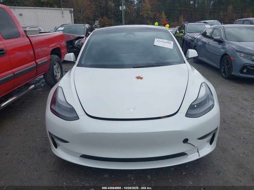 2023 Tesla Model 3 Rear-Wheel Drive VIN: 5YJ3E1EA2PF598433 Lot: 43564908