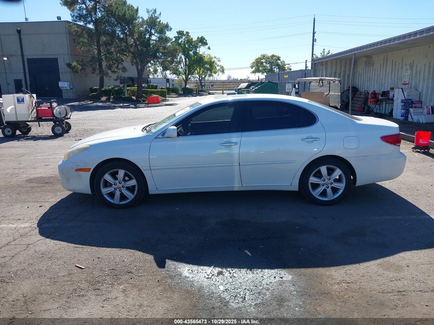 JTHBA30G565162690 2006 LEXUS ES photo no. 14