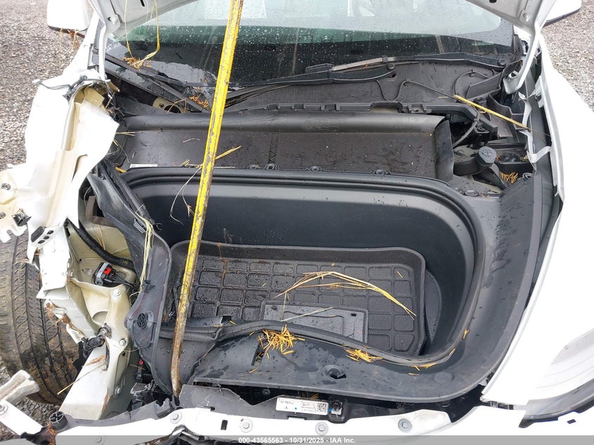 2023 Tesla Model Y Awd/Long Range Dual Motor All-Wheel Drive VIN: 7SAYGDEE9PF630169 Lot: 43565563