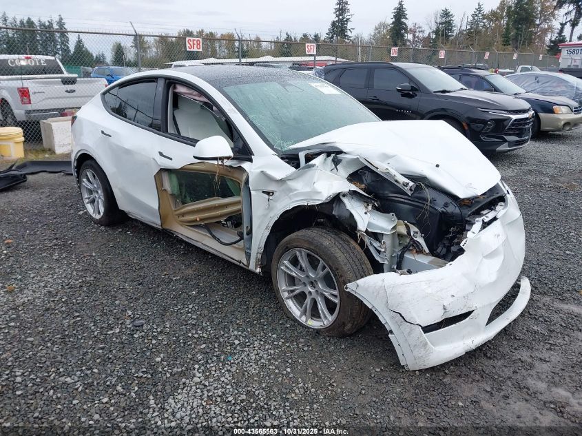 2023 TESLA MODEL Y | SPORT UTILITY VEHICLE