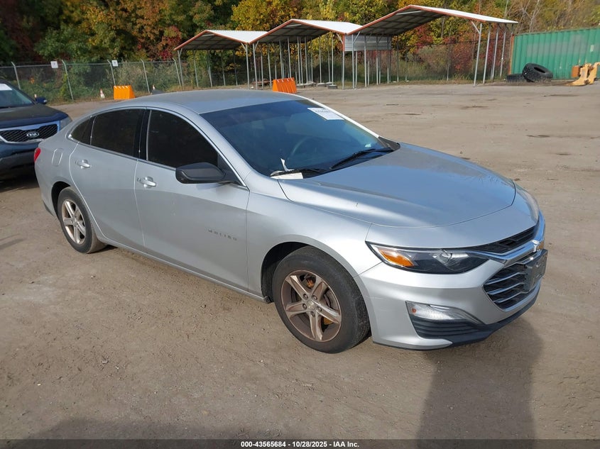 CHEVROLET MALIBU 1FL