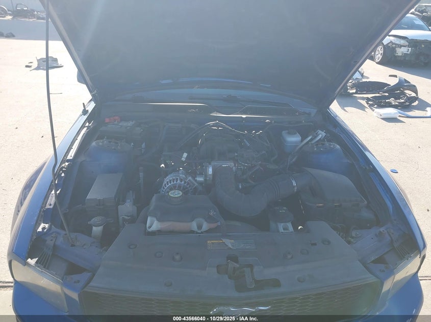 2008 Ford Mustang V6 Deluxe/V6 Premium VIN: 1ZVHT80N485169597 Lot: 43566040