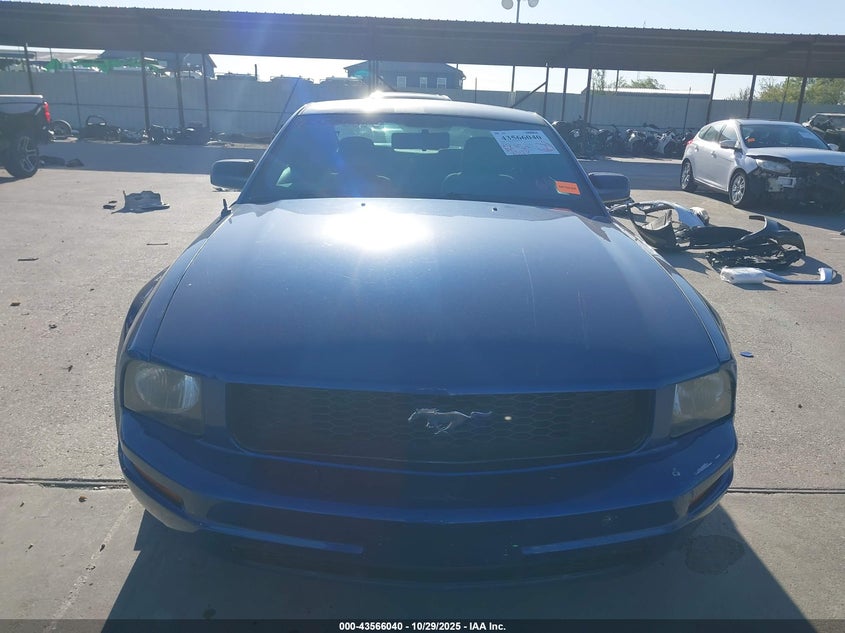 2008 Ford Mustang V6 Deluxe/V6 Premium VIN: 1ZVHT80N485169597 Lot: 43566040