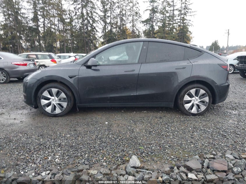 2024 Tesla Model Y Long Range Dual Motor All-Wheel Drive/Rwd VIN: 7SAYGDEDXRF019531 Lot: 43566181
