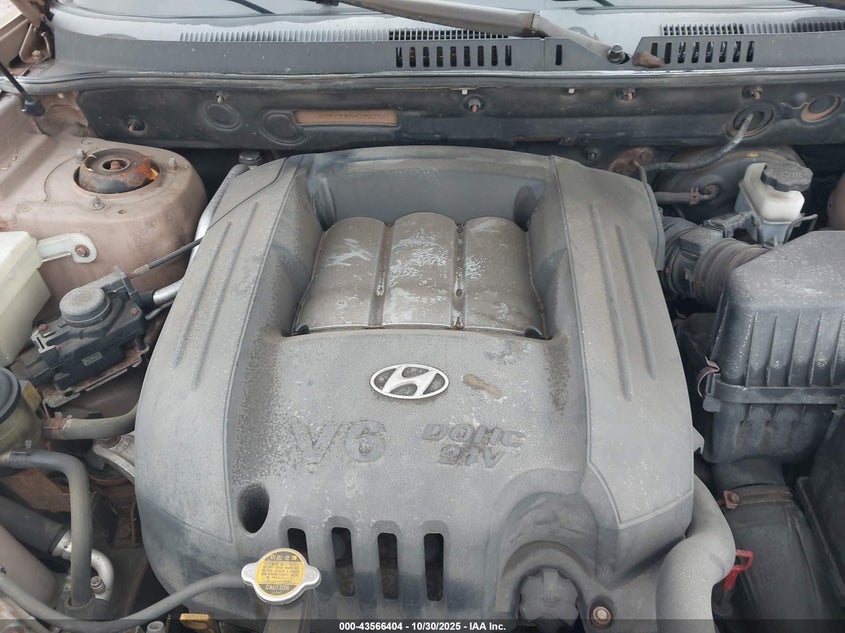 2004 Hyundai Santa Fe Gls VIN: KM8SC73D94U755102 Lot: 43566404