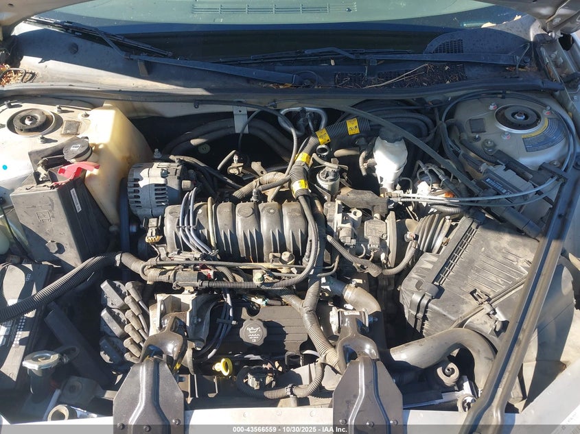 2003 Buick Regal Ls VIN: 2G4WB52K431155252 Lot: 43566559