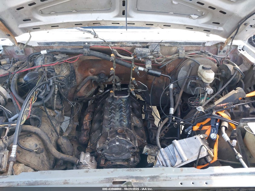 1991 Ford F150 VIN: 1FTEF15N5MKA03517 Lot: 43566663