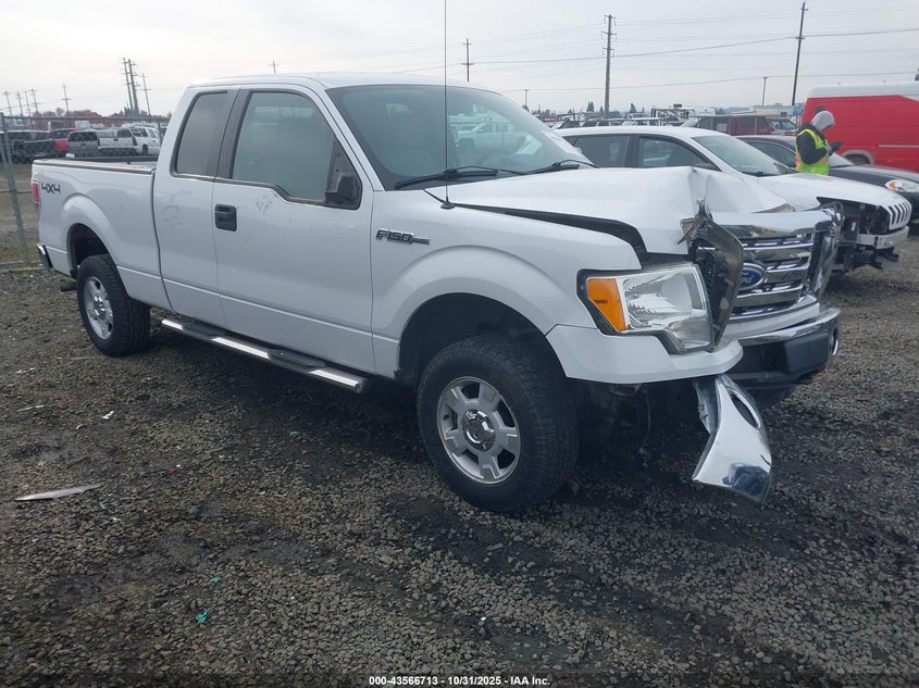 FORD F-150 STX/XL/XLT