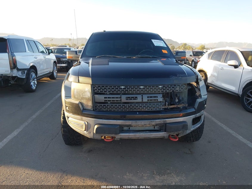 2010 Ford F-150 Svt Raptor VIN: 1FTEX1EV6AFA59631 Lot: 43566981