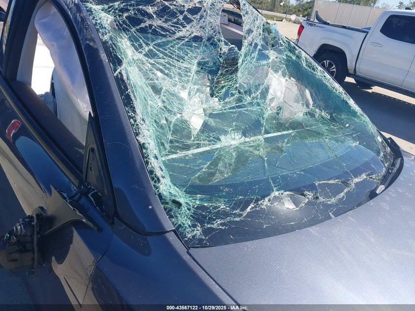 2023 Tesla Model Y Awd/Long Range Dual Motor All-Wheel Drive VIN: 7SAYGDEE1PA163262 Lot: 43567122