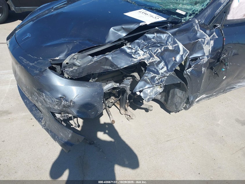 2023 Tesla Model Y Awd/Long Range Dual Motor All-Wheel Drive VIN: 7SAYGDEE1PA163262 Lot: 43567122