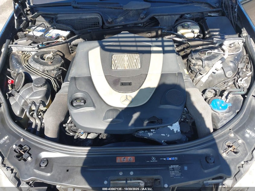 2009 Mercedes-Benz S 550 4Matic VIN: WDDNG86X59A248617 Lot: 43567135