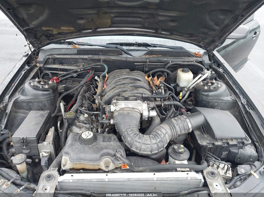 2007 Ford Mustang Gt Deluxe/Gt Premium VIN: 1ZVHT85H275342356 Lot: 43567176