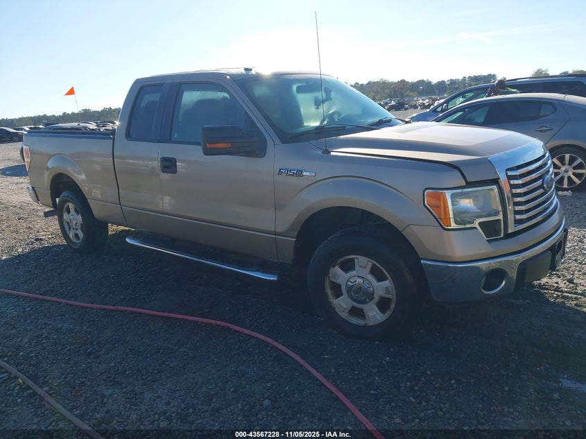 FORD F-150 XLT